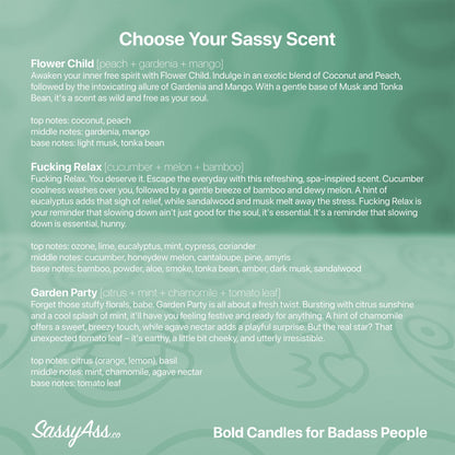 Are You High, Clairee? - Steel Magnolias Inspired Scented Soy Candle, Funny, Sassy, Handcrafted, Essential Oil Infused, - the back cover of the book choose your sassy scent - SassyAss.co