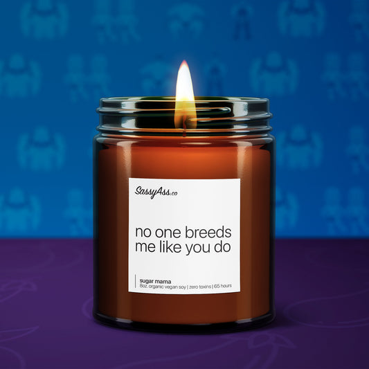 No One Breeds Me Like You Do - Scented Soy Candle, Sexy, Handcrafted, Vegan, Cruelty-Free, Eco-Friendly, Hypoallergenic, LGBTQ Friendly