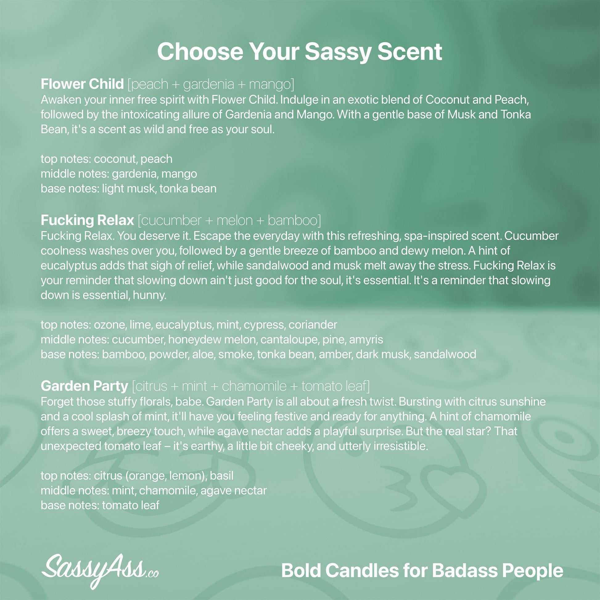I Like Your Cock - Scented Soy Candle, Adult Humor, Naughty Gift, Cheeky, LGBTQIA+, Love, Organic, Vegan, Hand-Poured, Sexy, Nice Dick - the back cover of the book choose your sassy scent - SassyAss.co