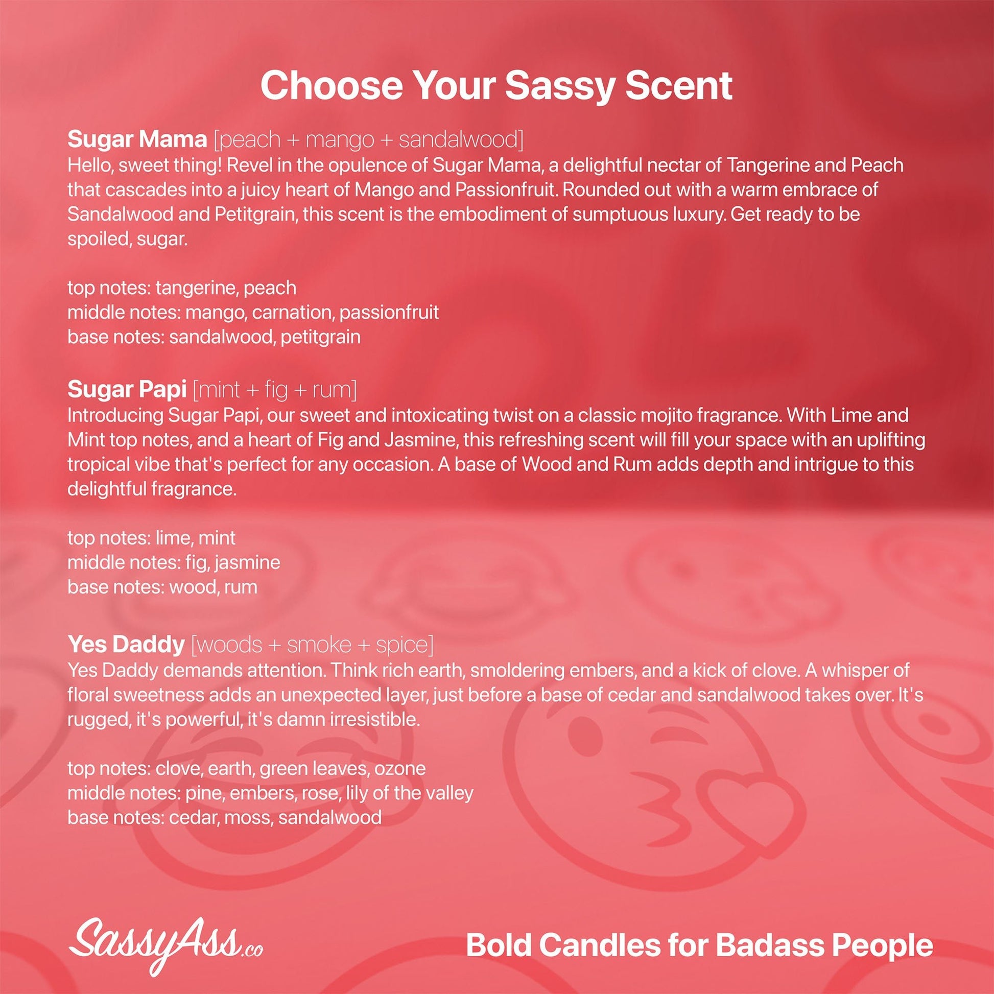I Like Your Cock - Scented Soy Candle, Adult Humor, Naughty Gift, Cheeky, LGBTQIA+, Love, Organic, Vegan, Hand-Poured, Sexy, Nice Dick - a red background with a text description for a product - SassyAss.co